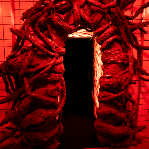 2025 NETFLIX EOY_2025PORFOLIO 2 CUADRADITA 07