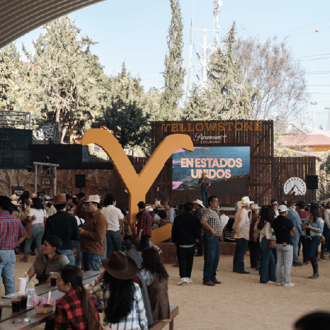 2025 YELLOWSTONE_2025PORFOLIO 2 CUADRADITA