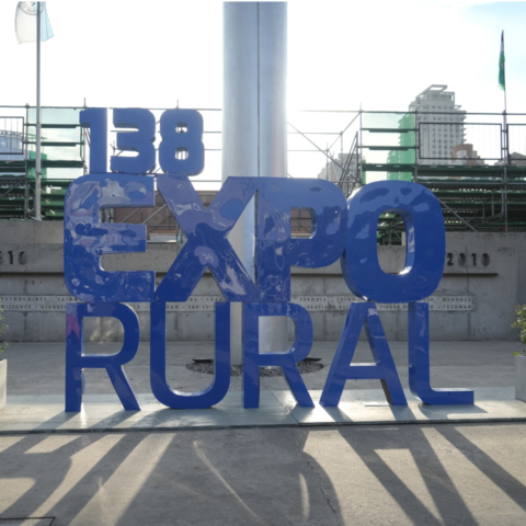 EXPO RURAL_2025 youtube 6